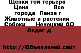 Щенки той терьера › Цена ­ 10 000 - Все города, Пенза г. Животные и растения » Собаки   . Ненецкий АО,Андег д.